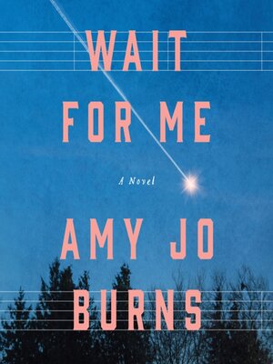 cover image of Wait for Me